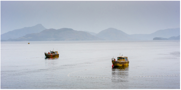 Salmon Boats