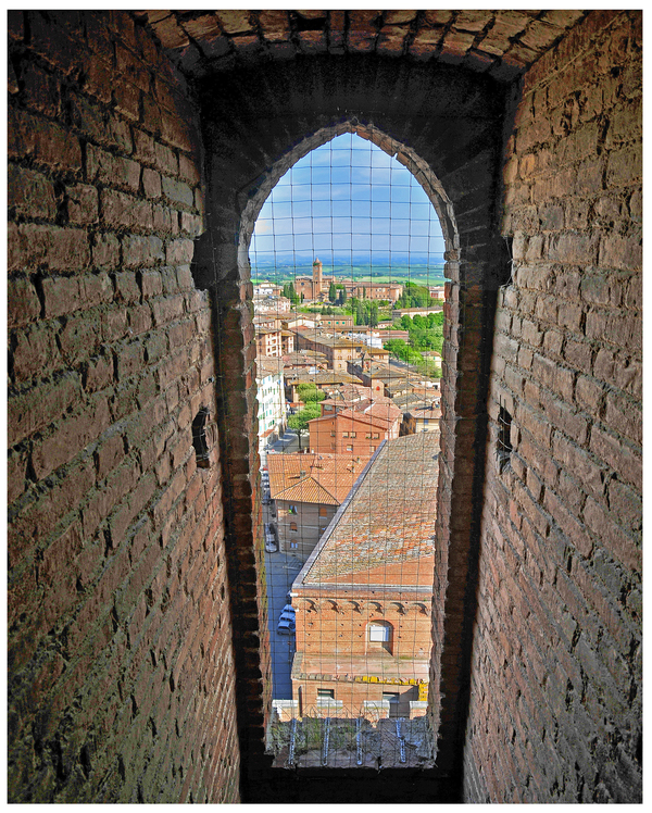 Vista dalla Torre