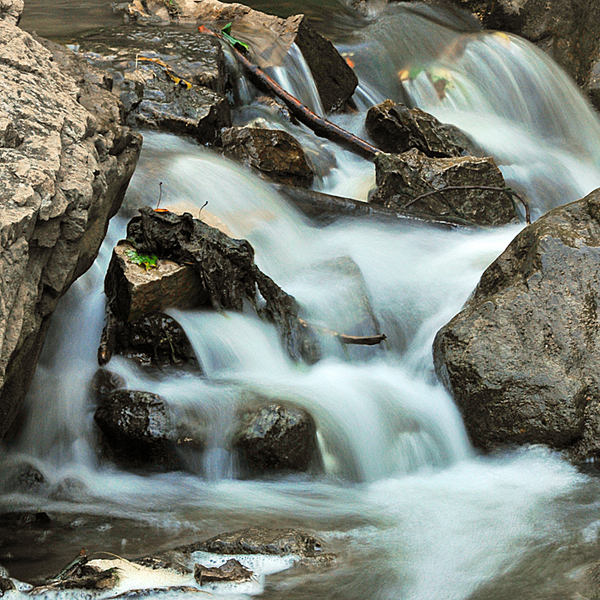 Webster&rsquo;s Falls